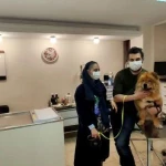 تصویر کلینیک دامپزشکی من و پت (پنج ستاره)
