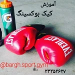 مجموعه ورزشی برق تهران