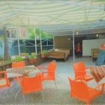  یوگای سلامت ظفر