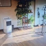 آموزشگاه موسیقی تهران نت