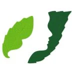 لوگوی کلینیک تخصصی کاشت مو و ابرو رویش سبز