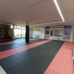 نمونه کار باشگاه آوای رزم