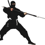  نین‌جوتسو -نینجا