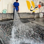 قالیشویی طلوع