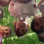 پیش دبستانی و مهد کودک خورشید