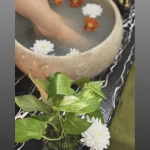 سالن تخصصی VIP زیبایی پروا