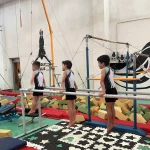 باشگاه ژیمناستیک فرهنگسرا بهمن(ایگِل)