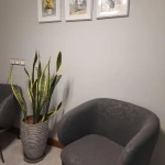 نمونه کار مرضیه دهقان نیری (مدیر مرکز روانشناختی و روان