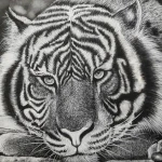  آموزش نقاشی محدثه گراوندی