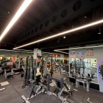 باشگاه بدنسازی آشوری ( vip ژیوان )