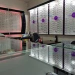 لوگوی بینایی سنجی اپتومتریست افسانه رئیسی