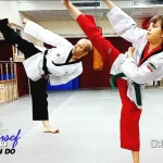 باشگاه تکواندو