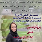 روانشناس دکتر الهام فروتن - سعادت آباد