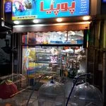 لوگوی پت شاپ و ملزومات طوطی سانان پوپیا