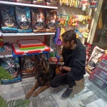 نمونه کار پت شاپ ایوان