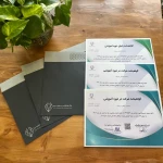 مرکز روانشناسی و مشاوره دیبا