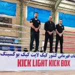 کیک بوکسینگ طراوتی