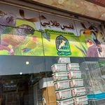 لوگوی پت شاپ قفس طلایی