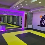  مجموعه ورزشی  بانوی طلایی