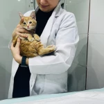 تصویر کلینیک دامپزشکی و پت شاپ کارما