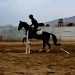 باشگاه سوارکاری راگا