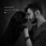 تصویر کلینیک دامپزشکی کارمن