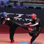  کونگ فو توآ پیروزی استاد مهدی شیری جیان