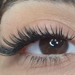 لوگوی کاشت مژه موقت و اکستنشن ladylash