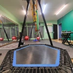 تصویر کلینیک و هوم جیم روان بدنمند