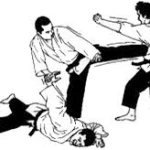  آموزش کاراته و دفاع شخصی صافی