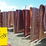 تصویر قالیشویی آفتابگردان (مبل شویی،رفوگری)