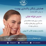 نمونه کار تالگو