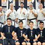 آکادمی کیوکوشین کاراته