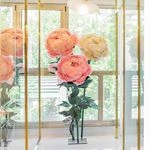 لوگوی کلینیک زیبایی دیورا