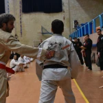  دفاع شخصی - هنر رزمی نیرو