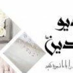 لوگوی عکاسی آیدین