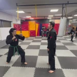  آموزش نین جوتسو