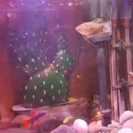  مرکز یوگا ماساژ یومی U Me