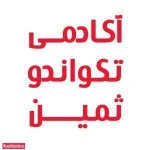  آکادمی تکواندو ثمین