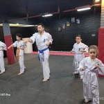 نمونه کار آموزش کاراته کیوکوشین (آکادمی مبارز)