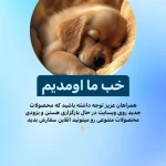 لوگوی پت شاپ اورانوس
