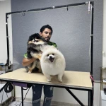 کلینیک دامپزشکی و آرایشگاه حیوانات نیک