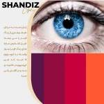 تصویر چشم پزشکی بینایی سنجی گالری عینک شاندیز