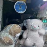  خشکشویی دورهمی