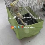تصویر کلینیک تخصصی پرندگان رکس