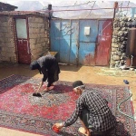 دفتر قالیشویی زمرد