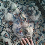 تصویر شستشوی فرش دستبافت بی‌نظیر