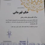 آموزش تکواندو (استادرضائی)