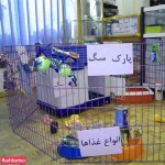 هپی پت شاپ هخامنش