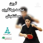  آکادمی پینگ پنگ (تنیس روی میز) توانا